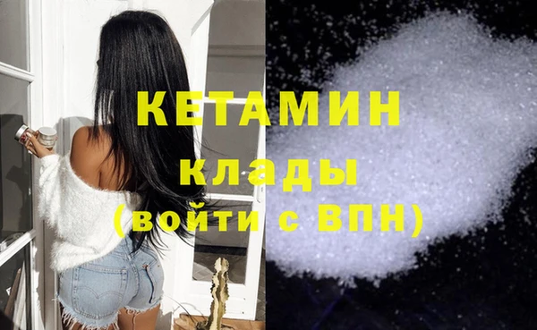сатива Абаза
