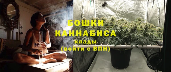 сатива Абаза